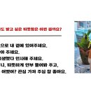 별이 빛나는 밤에 마음 글쓰기 이미지