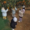 지훈농장 이미지