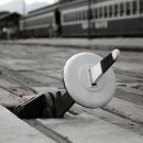 기차마을 장미공원 이미지