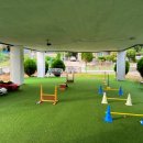 평생 사랑해 줄 개 애견펜션1 이미지