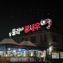 둘리왕새우
