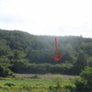 무릉도원면-49 이미지