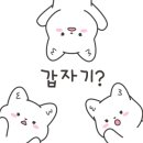 청도프로방스글램핑 이미지