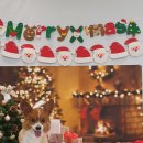 해피독쌤 이미지