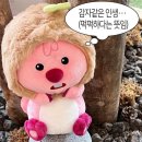 에스짐 이미지