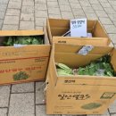 청개구리과일집 - 수원시 장안구 광교산로 132 | 청개구리과일집