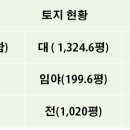 먼나머루 이미지