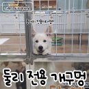 개구멍 이미지