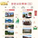 민트투어주