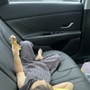 금호강8 | 금호강뷰 보며 대구 복현동 폰즈 카페에서 아이랑 브런치 타임