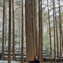 270-5044 | 2024 단풍명소