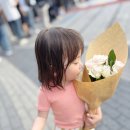 34개월 아이도 좋아한 작약꽃 오늘의꽃 구매후기