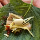 빵굽는 밥집 | [공지] 김해 장어 맛집 일백풍천장어 목련숲 다녀온 뒤 들린 점심특선 후기