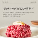 한우투뿔육사시미