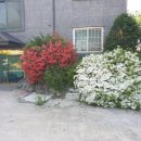 GS건대모시래 이미지