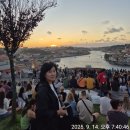 정원일루이스