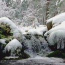 겨울 고백 / 白山 허정영 이미지