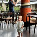 6655 | [2024/BALI] 발리 여행 | 그린필드 리조트(Green Field Resort), 우붓 숙소 딱 정해드립니다!