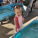 고마촌 | 아기와 공주 백제문화제 다녀 온 후기(주차장, 체험, 푸드트럭, 미르섬 입장권 할인 꿀팁)