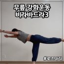 관절 근육 강화 운동 | 무릎 관절 근력 근육 강화 운동 비라바드라3