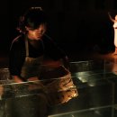 퓨전 플라멩코 옴팡 이미지