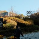 (주)팜미디어 | 대전 소셜미디어 기자단 팸투어(목제 문화체험장, 대전 팜 둥구 나무, 장태산 자연휴양림) 다녀온 후기