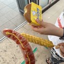 블챌⭐ 여수 여행 호텔 맛집 후기 내돈내산 사진일기