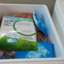 제천흑염소.도축