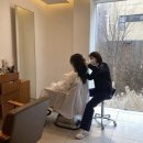 헤어디자이너취업/준비/연봉 총정리!!신촌헤어미용학원