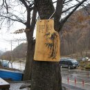 팔매숲공원 이미지