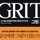 그릿(Grit) 이미지