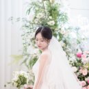 영스냅 이미지
