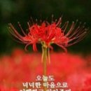 인사인 - 경산시 원효로 323 | 인사인