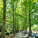 6월 기획공연 <라흐 헤스트> | 국내기차여행 1일차 진주 가볼만한곳 경상남도 수목원 진주성 하동 숙소 숙박 온천호텔(남도 기차둘레길)