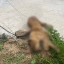 종은목장2 이미지