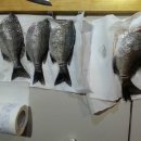 후정해수욕장 이미지