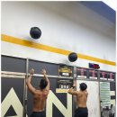 크로스핏 하루 | 미사 크로스핏 초심부터 챔피언까지, 즐겁게 불태운 하루 후기🔥