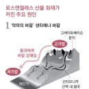 초목 이미지