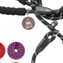 프리독스 이미지