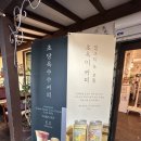 갤러리밥스 | 강릉 초당옥수수 라떼 맛집 갤러리밥스 내돈내산 후기