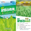 황금보리 이미지