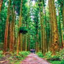 제주 4·3 수악주둔소 이미지