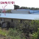 백마주택 Daum카페