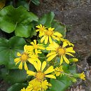 진동리주차장2(주차장 내) | 김포공항 주차장 예약 자스민 주차장 할인 후기