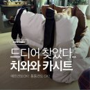 뚱강아지 | 강아지카시트 추천, 5kg 치와와 소형견 방수 카시트 쿠팡 로켓배송 실사용 후기
