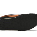 포켓피쉬 이미지