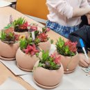 반려식물 다육이 관리법과 테라리움 원예 | 서울 경기 초등학교 유치원 원예 진로체험)다육정원 식물심기 반려식물 생태전환교육