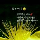 다정해 이미지