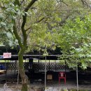 동명농장 이미지