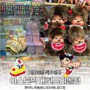 대현1천 | 동성로 중앙로역 지하상가 놀거리 상품권 댓글 이벤트 참여 방법